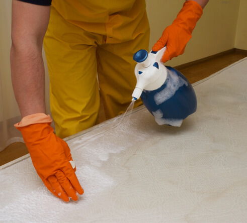 Rino Carpet Cleaning Denver - Applying Product