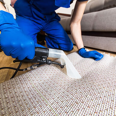 Rino Carpet Cleaning Denver - Carpet Protection