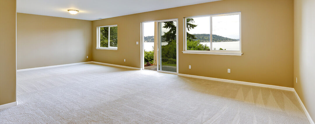 Rino Carpet Cleaning Denver Clean Carpets