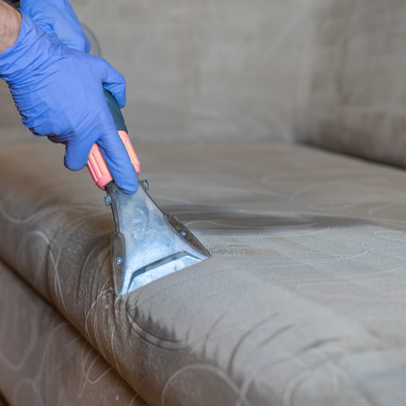 Rino Carpet Cleaning Denver - Pre-Treatment