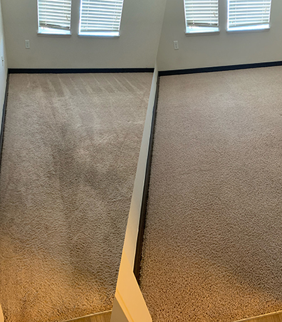 Home Rino Carpet Cleaning